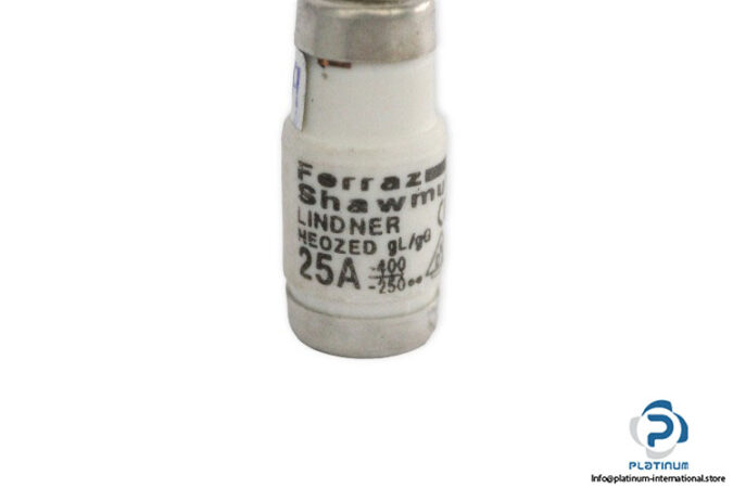 ferraz-shawmut-W213160-fuse-link-(New)-2