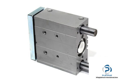 festo-170948-guided-actuator-1