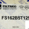 filtrec-fs162b5t125-replacement-filter-element-3