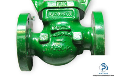 fisher-225-A4-control-valve_1_used