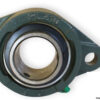 fk-UCFL-210-oval-flange-ball-bearing-unit-(new)-1