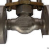 flowserve-0300E2-globe-valve-(new)-1