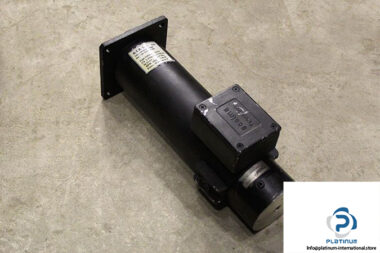 g-t-a-s-r-l-sm24-servo-motor-1