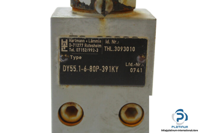 hartmannlammle-dy55-1-6-80p-391ky-pressure-limiter-1