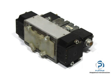 herion-25-335-00-double-solenoid-valve-1