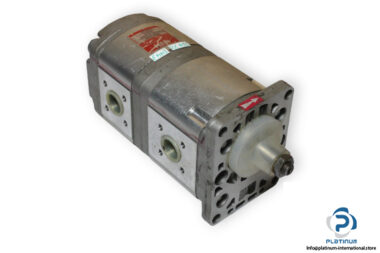 hpi-hydroperfect-international-P1BAN2018CA2006CL-gear-motor-(used)