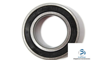 ibb-6007-2rs-ball-bearing-1