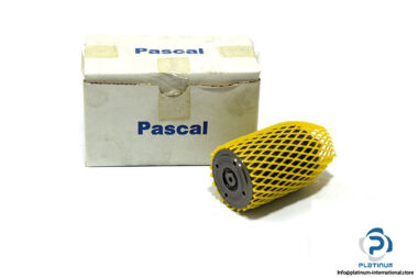 pascal-CSY06-L-41640-B-hydraulic-cylinder