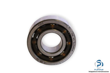 ina-4203-double-row-deep-groove-ball-bearing-1