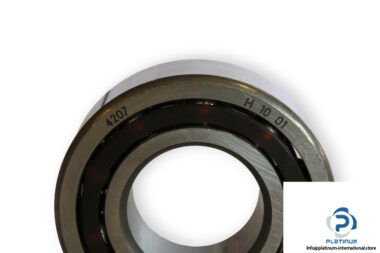 ina-4207-double-row-deep-groove-ball-bearing-1