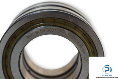 ina-SL045007-cylindrical-roller-bearing-(new)-(carton)-1