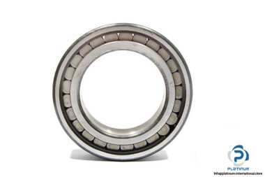 ina-f-88273-cylindrical-roller-bearing-1