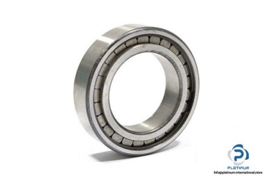 ina-F-88273-cylindrical-roller-bearing