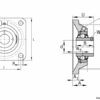 ina-rcjy40-n-flanged-housing-unit-2