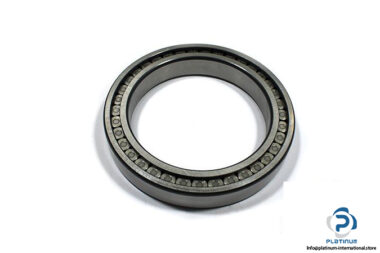 ina-sl-18-2928-b-cylindrical-roller-bearing-1