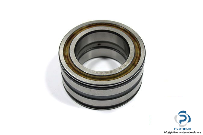 ina-sl04-5011-pp-double-row-cylindrical-roller-bearing-1