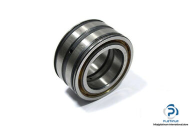 ina-SL04-5011-PP-double-row-cylindrical-roller-bearing