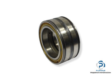 ina-SL04-5020-PP-double-row-cylindrical-roller-bearing