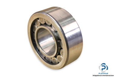 ina-SL192309-cylindrical-roller-bearing