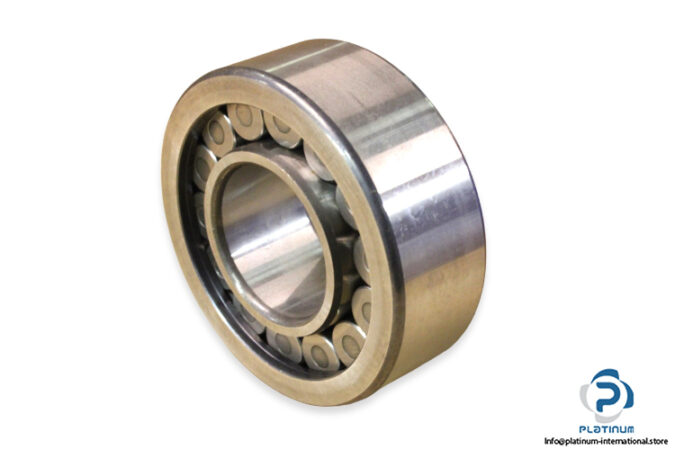 ina-SL192309-cylindrical-roller-bearing
