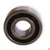 isb-4202-double-row-deep-groove-ball-bearing-1