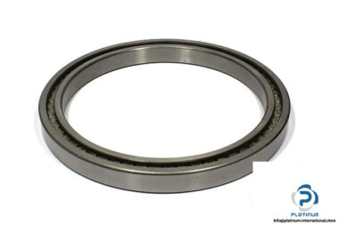 jqb-sl18-1844-cylindrical-roller-bearing-1