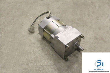 kokusan-denki-TC0306-induction-motor