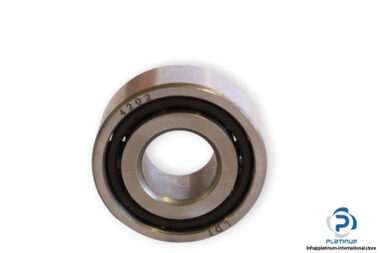 ldi-4202-double-row-deep-groove-ball-bearing-1