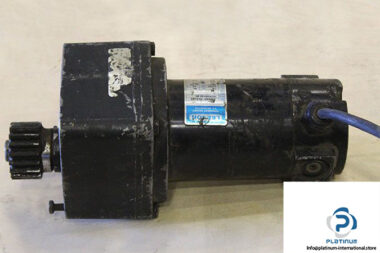 leeson-CM34D18NZ38A-permanent-magnet-dc-gear-motor