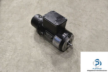 leeson-e56-9-permanent-magnet-dc-motor-1