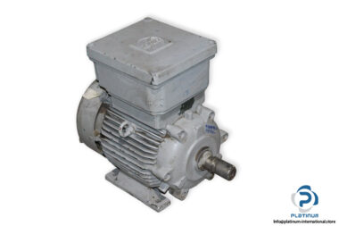 loher-D3A132M-4-3-phase-proof-motor-used