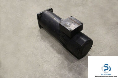 magnetic-br-60-m-30_17-permanent-magnet-dc-servomotor-1