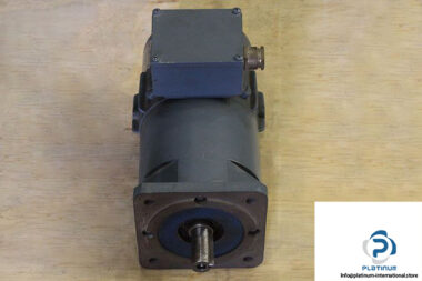 magnetic-br-80s-30_17-permanent-servo-motor-1