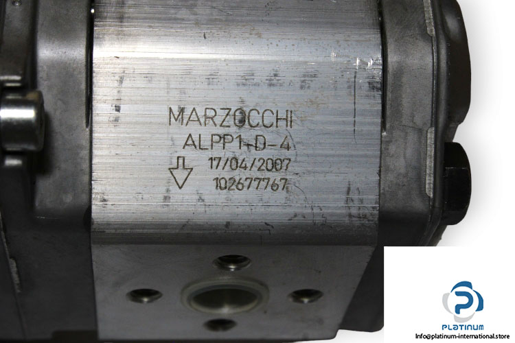 marzocchi-ALPA2-D-13+ALPP1-D-4-tandem-pump-(used)-1