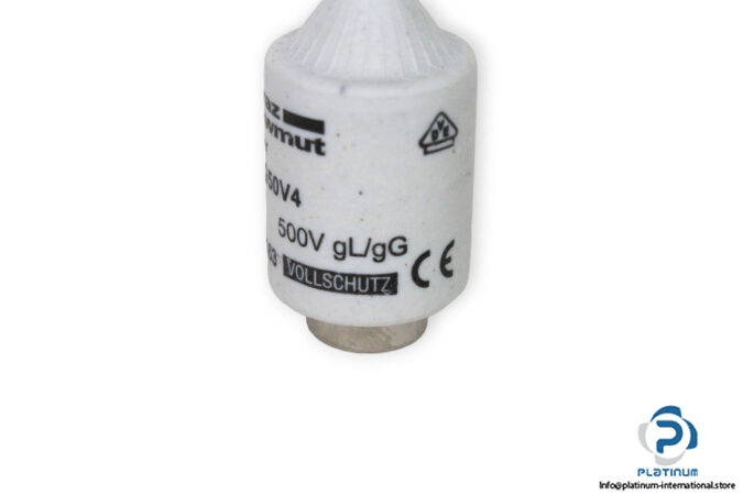 mersen-DIIGG50V4-low-voltage-fuse-(new)-2