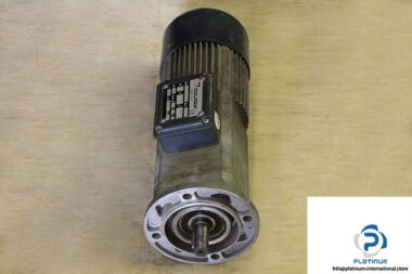 minimotor-pa440m3t-gear-motor-1