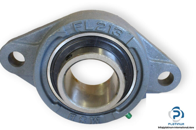 msb-UCFL-213-oval-flange-ball-bearing-unit-(new)-(carton)-2