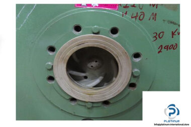 MUNSCH-NP100-65-200-CHEMICAL-PUMP-WITH-MECHANICAL-SEAL-3_675x450.jpg