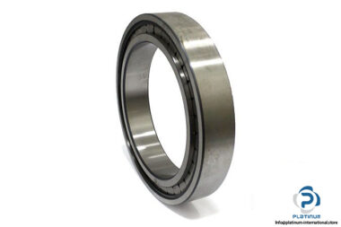 NCF2940-cylindrical-roller-bearing