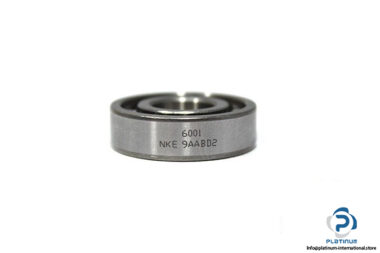 nke-6001-ball-bearing-1