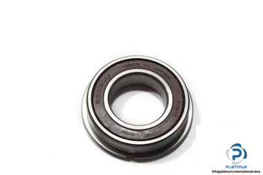 nsk-6006-ddu-nr-ball-bearing-2