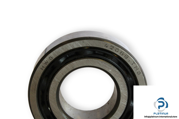 nwg-4206.BTNG-double-row-deep-groove-ball-bearing-1