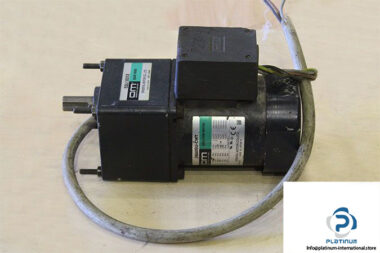 om-5IK60GU-CWT-induction-motor