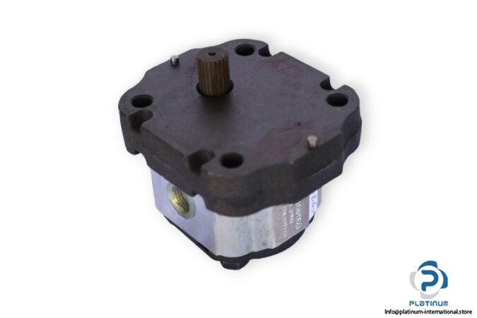 ot-OT100P11-D_GXX-gear-pump-(new)