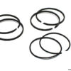 parker-PR402H001-piston-service-kit-cast-iron-rings