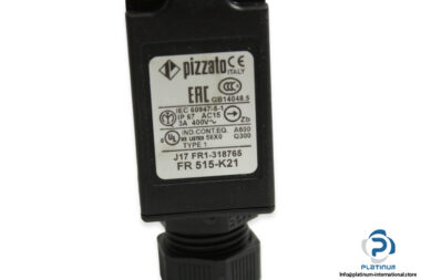 pizzato-fr-515-k21-position-switch-new-2