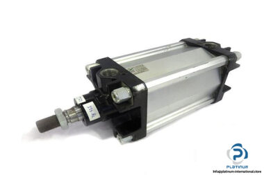 PNEUMAX-131910010001-PNEUMATIC-ACTUATOR_675x450.jpg