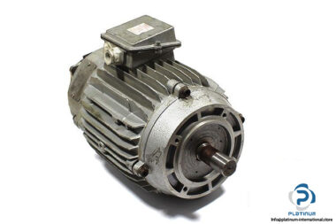 r-vassal-sfuv10-electric-motor-1