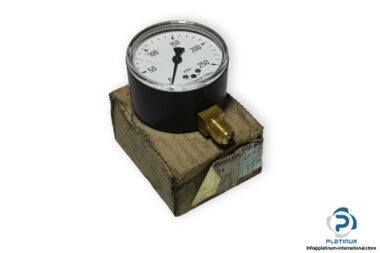 reigler-5844-pressure-gauge-new