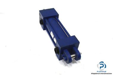 rexroth-cdt3mp1_40_28_80f11_b-hydraulic-cylinder-2